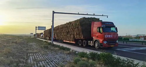 錫林郭勒盟交通運輸局多舉措保障物流運輸暢通